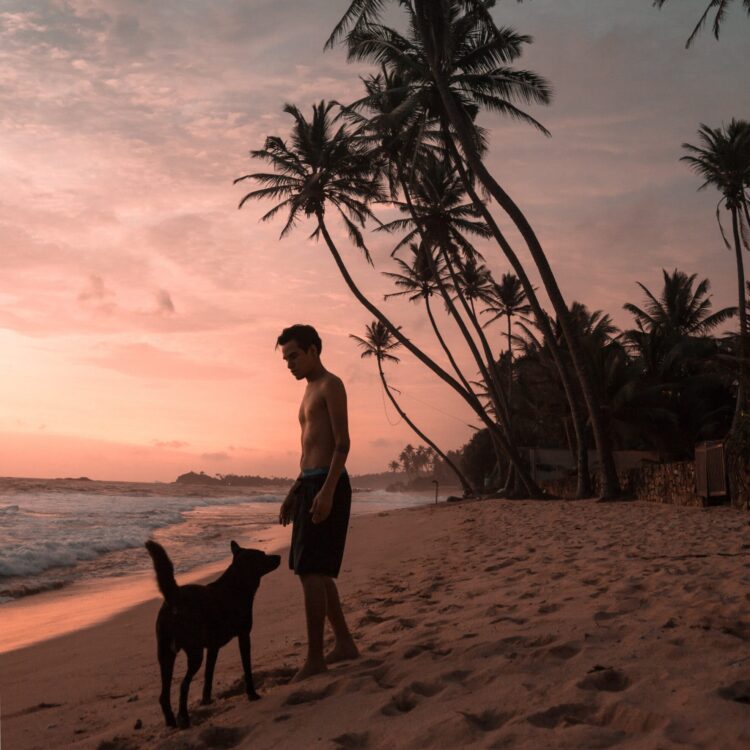 Tips Berlibur Bersama Hewan Peliharaan